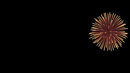 Fototapeta premium Vibrant fireworks display against a black background, creating a festive atmosphere.