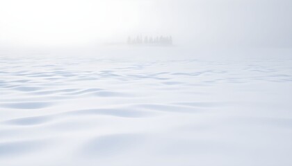 A snow-covered field with a distant cluster of trees obscured by heavy fog, creating a serene and minimalist winter landscape.