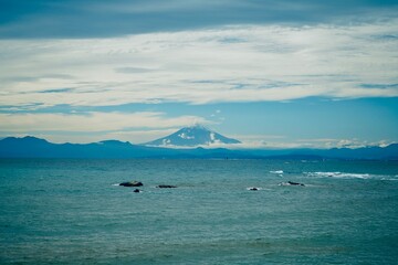 Mt Fuji Hayama park Hayama Kanagawa Japan November 2025
