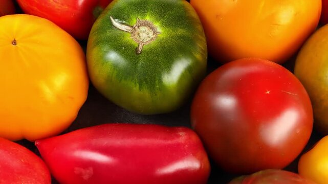 Diverse collection of ripe tomatoes rotates slowly, allowing viewers to appreciate unique patterns and colors, emphasizing freshness in every luscious detail, top view