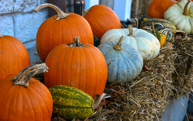 Assorted pumpkins and gourds in orange, grey, and green tones arranged on hay bales, symbolising autumn harvest and seasonal decoration