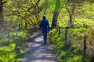 Person walking on a sunny countryside path near Uster, surrounded by green fields, autumn trees, and distant houses under warm afternoon light