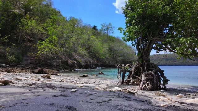 Relaxing view of tropical beach swaying trees embracing gentle ocean breeze, capturing essence of paradise and beauty of Indonesia in serene setting