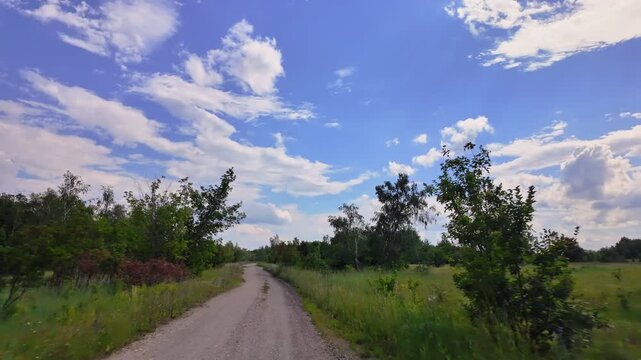 Serene drive along rough dirt trail in magical forest beneath brilliant blue heavens showcasing beauty and tranquility of nature, Europe