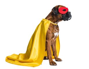 Untitled design - Relaxed Boxer Superhero Sitting Sideways with Yellow Cape Flowing, isolated on transparent background