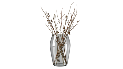 Clear glass vase holds slender, leafless brown branches against a solid black background.