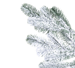 Branch of artificial fir tree with snow isolated on white. Christmas decor