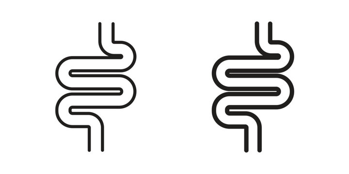 Intestines icon silhouette vector designs. Editable Strokes