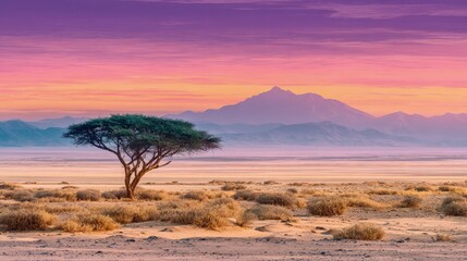 Desert Sunrise Landscape With Isolated Tree