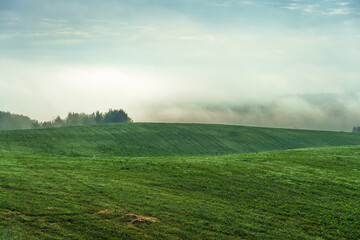 Fog over a field at dawn. A hilly field is covered with fog against a background of forest and clouds.