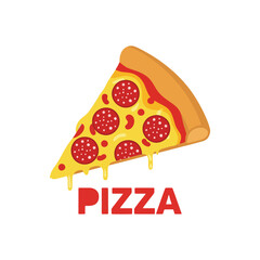 Delicious pizza isolated icon vector illustration design