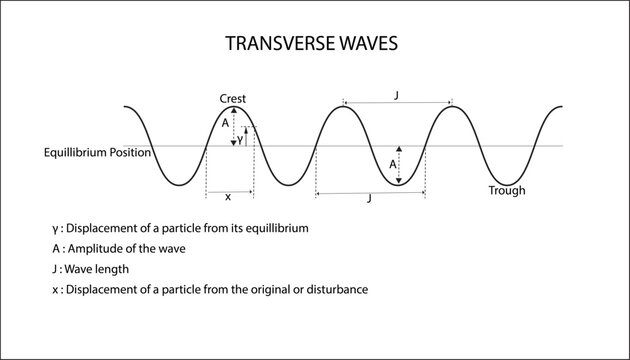 Transverse Waves Images – Browse 1,028 Stock Photos, Vectors, and Video ...