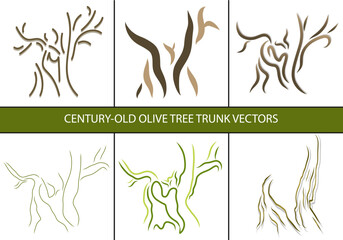6 pack Century-old olive tree trunk vectors 