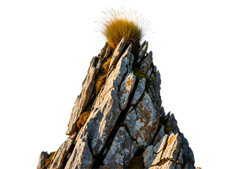 Golden cactus on jagged rock formation isolated on transparent background