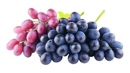 Fototapeta premium Red and Blue Grape Bunches isolated on a transparent background