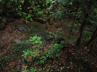 Obraz premium Carried away by the drizzle clouds an cloudia.