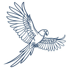 Elegant parrot in flight