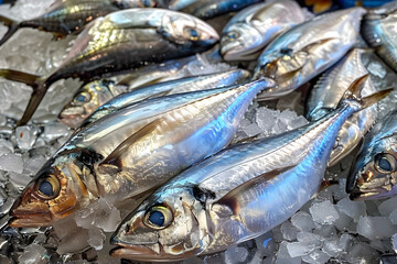 Fototapeta premium Fresh Silver Fish on Ice at Seafood Market