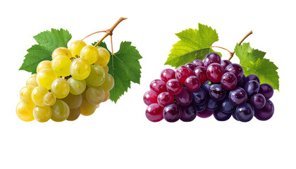 Fototapeta premium Black Grape Cluster Collection with Green Leaf, isolated on transparent background