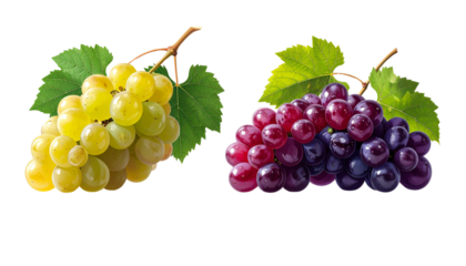 Black Grape Cluster Collection with Green Leaf, isolated on transparent background