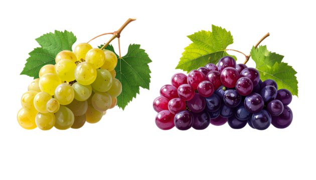  Black Grape Cluster Collection with Green Leaf, isolated on transparent background