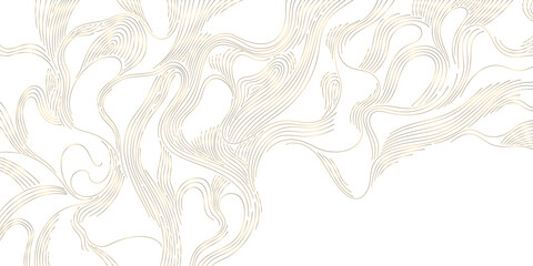 Elegant vector abstract golden line pattern, Asian topography, mountains, rivers, natural contours, luxury modern design. Backgrounds, wallpapers, packaging, premium graphic © marylia17