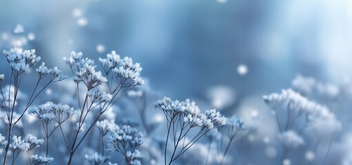 winter nature background with ice flowers and snow, a beautiful nature landscape in pastel blue colors.