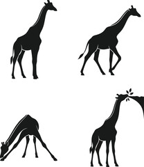 Four Black Giraffe Silhouettes in Various Poses animal