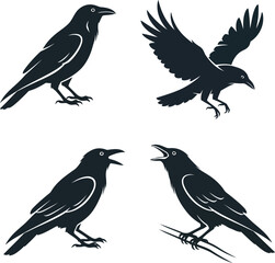 Fototapeta premium Four dark silhouette crows in different poses raven