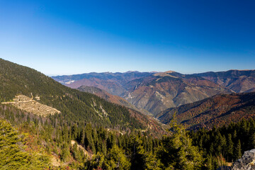 autumn landscape in the mountains