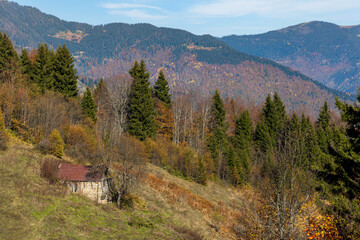 autumn landscape in the mountains