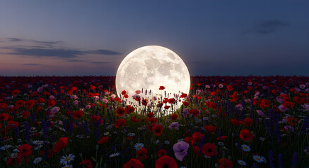 Full Moon Rising Over a Field of Poppies and Lavender