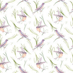 Spring Grass and Swallows Watercolor Pattern isolated. Seamless background with meadow grasses and birds hand drawn. Wild herb birdy pastel colors for kids. Avian botanical repeat for girly design.