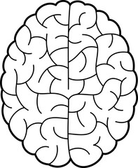 Brain detailed hemispheres, intellect and cerebral mental skills vector line art illustration.