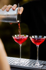 Aesthetically pleasing cocktail preparation at the bar