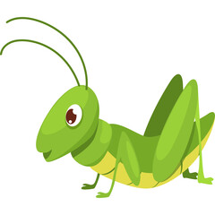 Illustration of a green grasshopper with large eyes and antennae in a side profile view on a transparent background