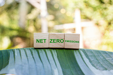 Net Zero Emissions refers to a condition in which the amount of greenhouse gas emissions from activities equals the amount of greenhouse gases removed from the atmosphere.