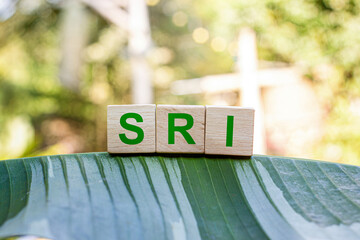 SRI Socially responsible investing Socially responsible investing is any investment strategy that seeks to consider financial returns alongside ethical social or environmental goals.