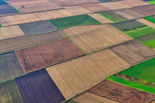 Aerial view of a patchwork of cultivated fields, a symphony of earthy browns and vibrant greens, create a stunning agricultural mosaic, Rouffach, Grand Est, France.