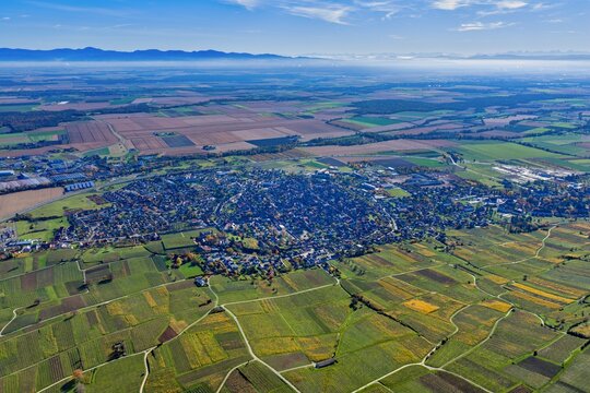 Aerial view of the town nestled amidst vibrant vineyards and cultivated fields, shadowed by distant, hazy mountains under a vast sky, Rouffach, Grand Est, France.