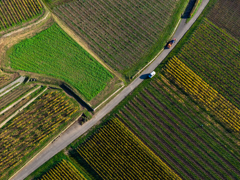 Aerial view of a picturesque patchwork of vineyards, where golden rows meet vibrant green fields, bisected by a road with moving vehicles, Rouffach, Grand Est, France.