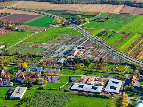 Aerial view of autumnal fields meeting modern architecture, bisected by a stark grey highway, Rouffach, Grand Est, France.