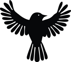 The silhouette of a black bird spread its wings.