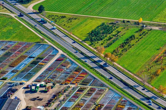 Aerial view of the vibrant patchwork of nurseries meeting the straight lines of the highway, a symphony of nature and infrastructure, Rouffach, Grand Est, France.
