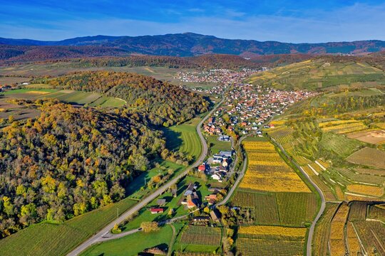 Aerial view of the patchwork fields and vineyards, where autumn's gold meets the distant blue mountains, casting long shadows over the quaint rooftops, Rouffach, Grand Est, France.