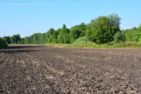 Plowed agricultural Field and green Forest Under a Clear Blue Sky