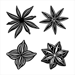 A Vibrant Organic Spices Collection, Showcasing Aromatic Flavor and Natural Ingredients for Culinary Art and Healthy Cooking Wellness.