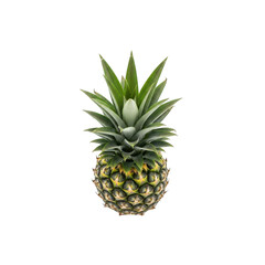 Fototapeta premium Fresh ripe pineapple fruit tropical food healthy diet vitamin c delicious sweet pineapple isolated on transparent background