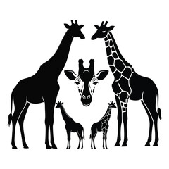 A versatile vector set of black giraffe silhouettes and a detailed head icon. Collection of African wildlife graphics for design