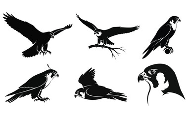 Set of six predatory falcon bird icons in various dynamic poses. Black and white vector illustrations of a bird of prey for logos and emblems 27
